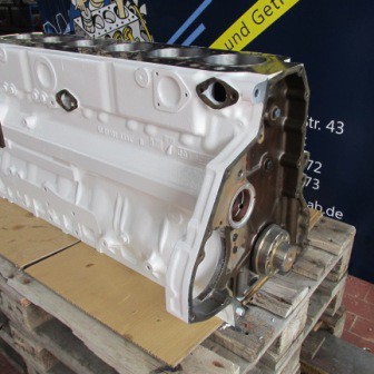 MAN Short Block Gas / Biogas E2866